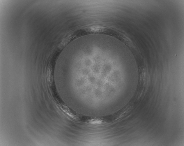 X0000080180651200612081402