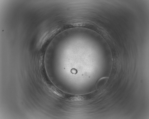 X0000080180652200612081402