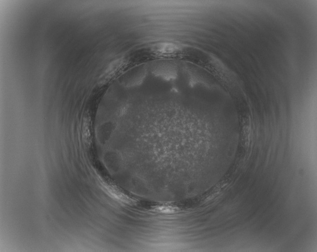 X0000080180654200612081402