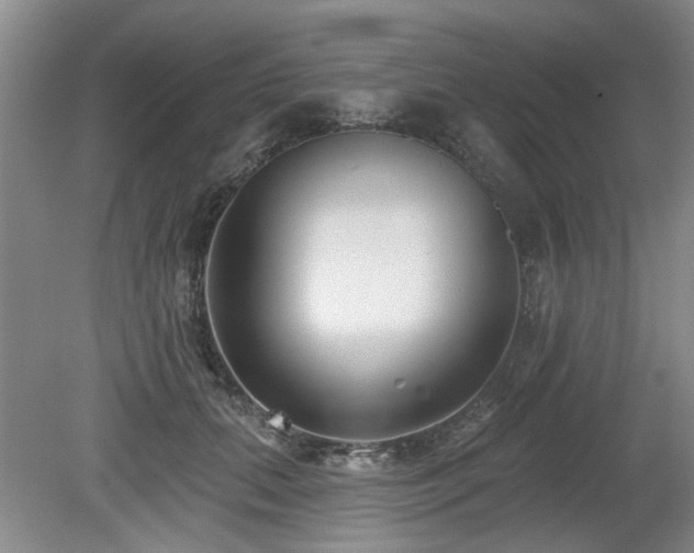 X0000080180655200612081402