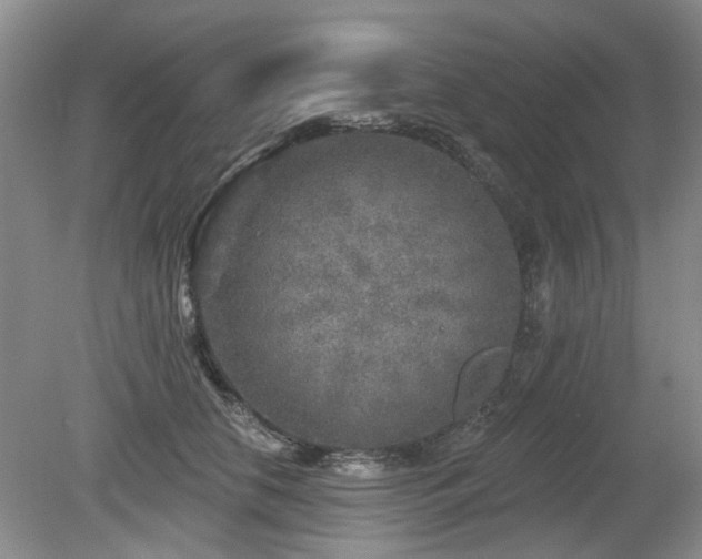 X0000080180658200612081402