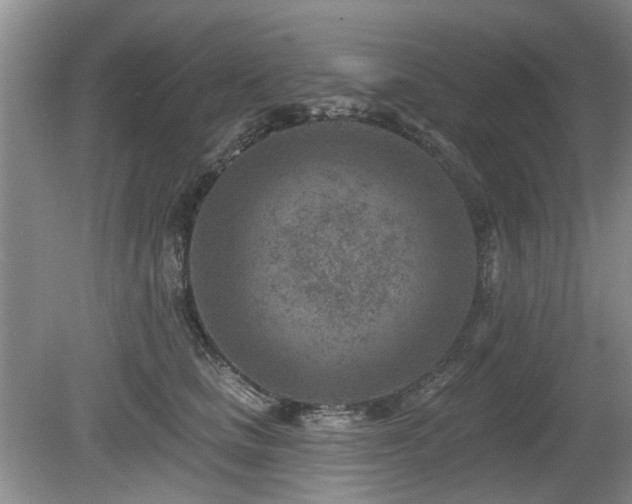 X0000080180661200612081402