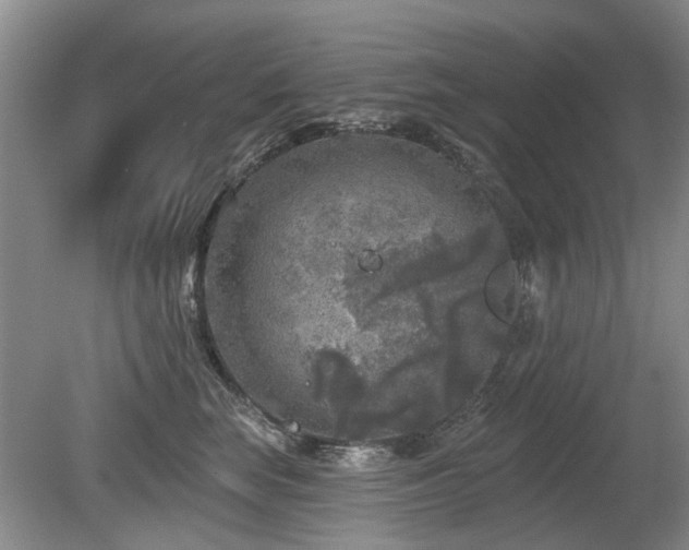 X0000080180663200612081402