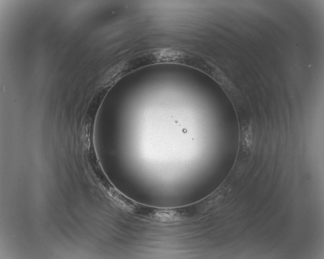 X0000080180666200612081402