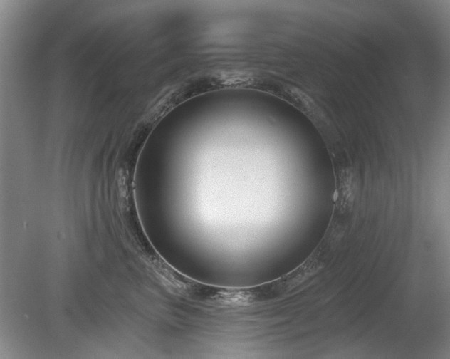 X0000080180667200612081402