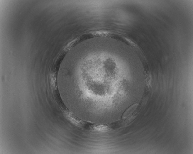 X0000080180669200612081403