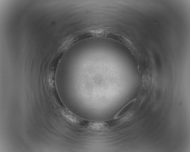 X0000080180671200612081403