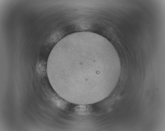 X0000080180672200612081403