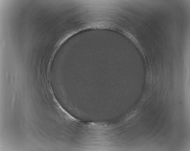 X0000080180673200612081402