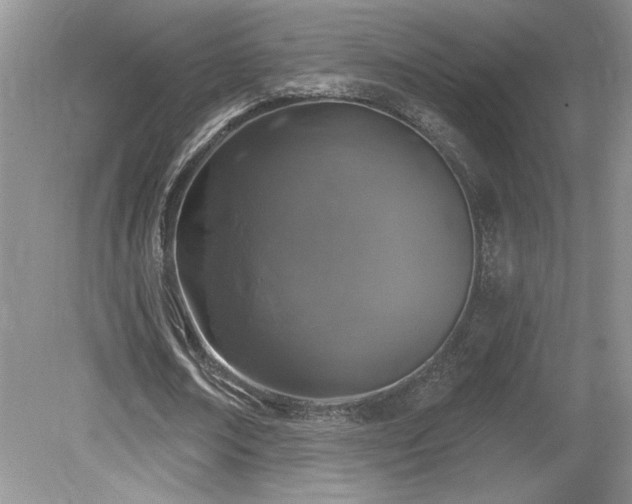 X0000080180674200612081402