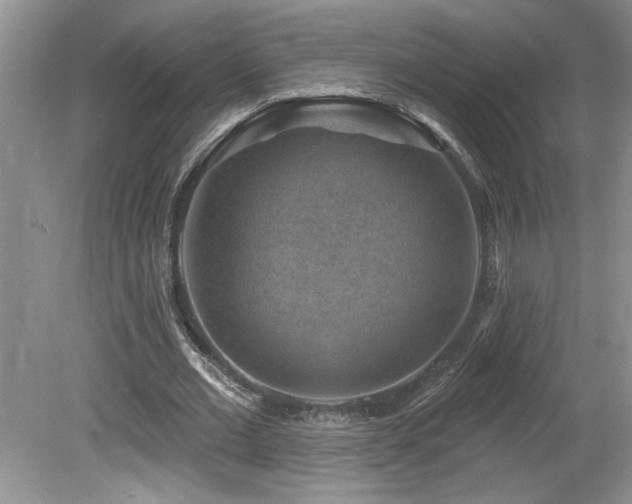 X0000080180677200612081402