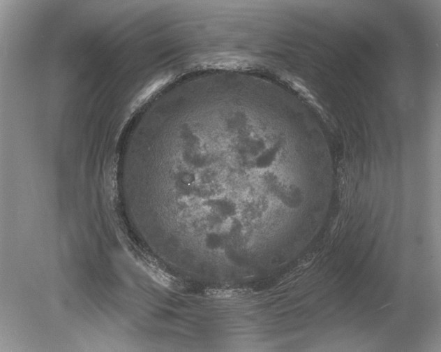 X0000080180679200612081402