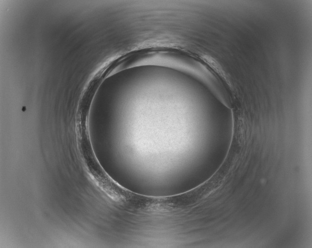 X0000080180680200612081402