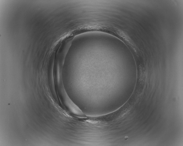 X0000080180681200612081402