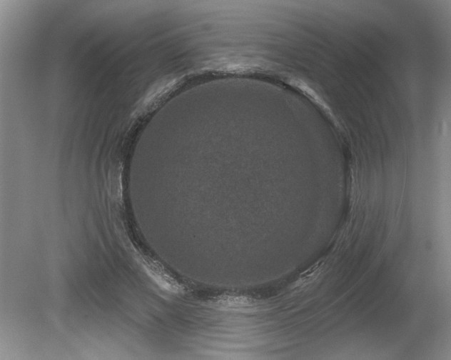 X0000080180685200612081402