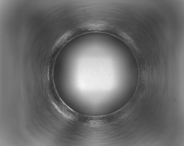 X0000080180686200612081402