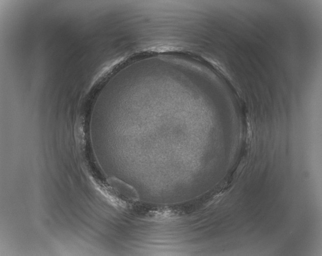 X0000080180688200612081401