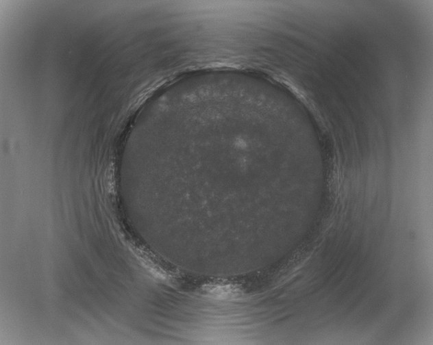 X0000080180689200612081401