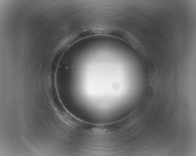 X0000080180690200612081401