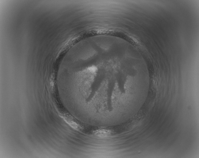 X0000080180691200612081401