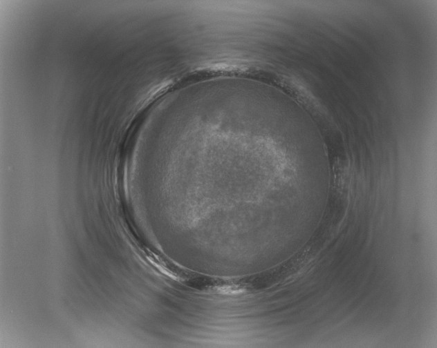 X0000080180692200612081401