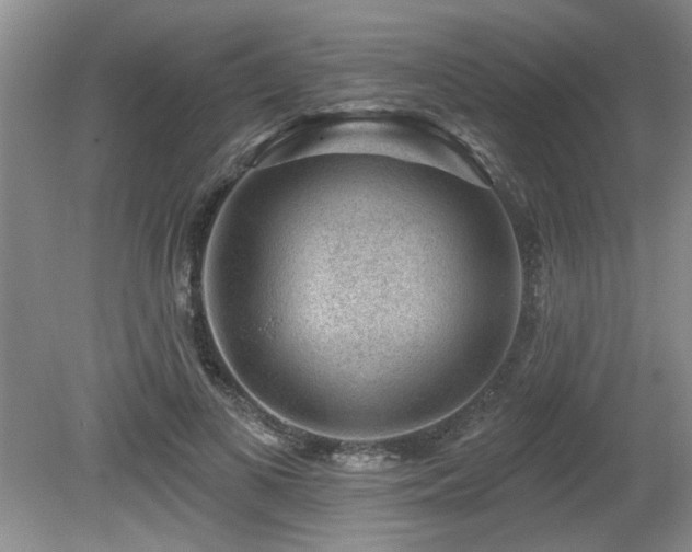 X0000080180693200612081401