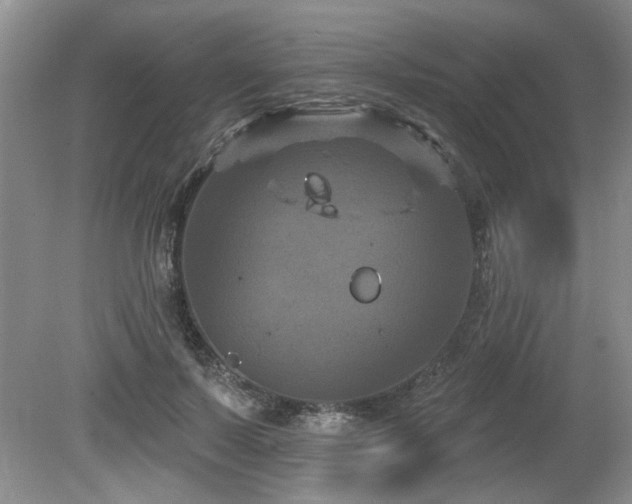 X0000080180695200612081401