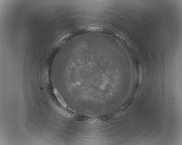 X0000080180696200612081401