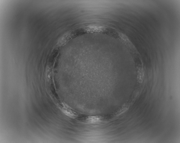 X0000080180701200612081401