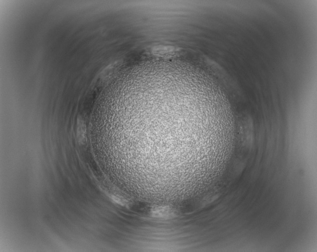 X0000080180705200612081401