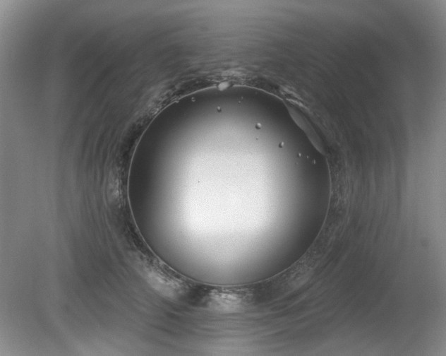 X0000080180706200612081401