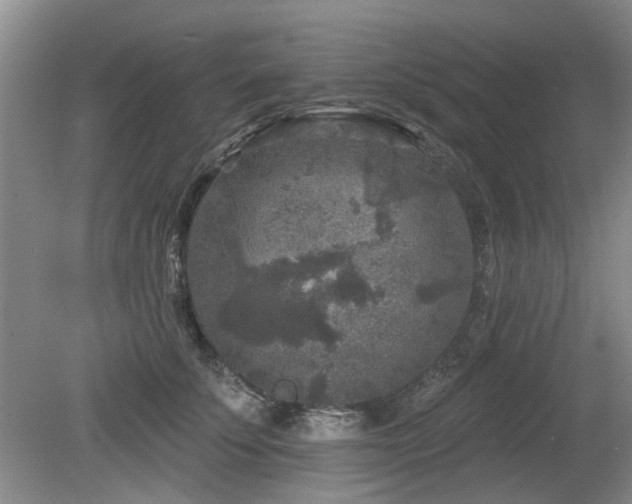 X0000080180707200612081401