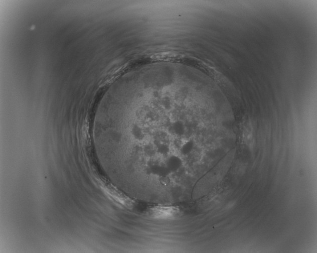 X0000080180711200612081401