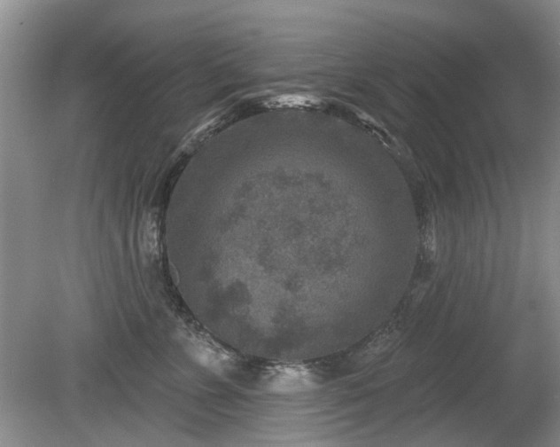 X0000080180715200612081401