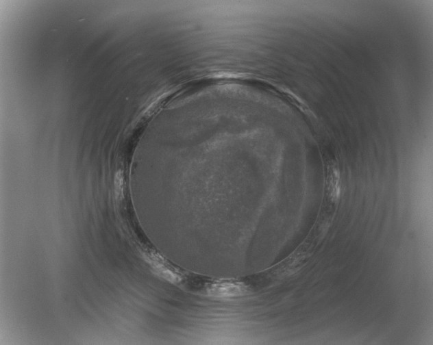 X0000080180716200612081401