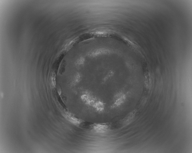 X0000080180718200612081401