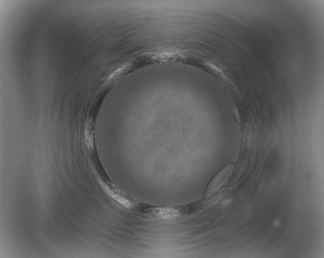 X0000080180719200612081401