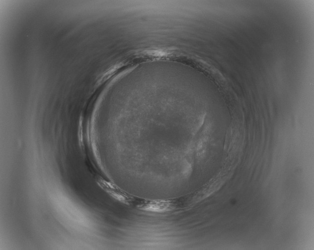 X0000080180720200612081401