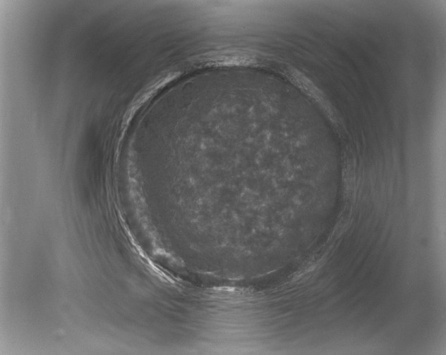 X0000080180721200612081400