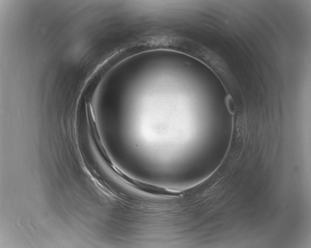 X0000080180722200612081400