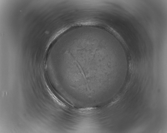 X0000080180725200612081400