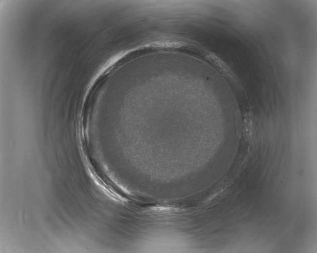 X0000080180726200612081400