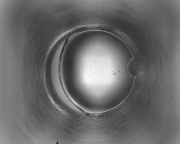 X0000080180728200612081400