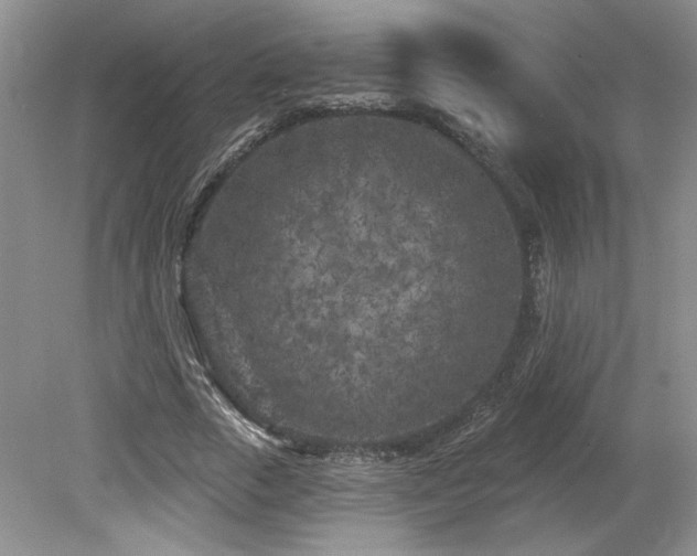 X0000080180729200612081400