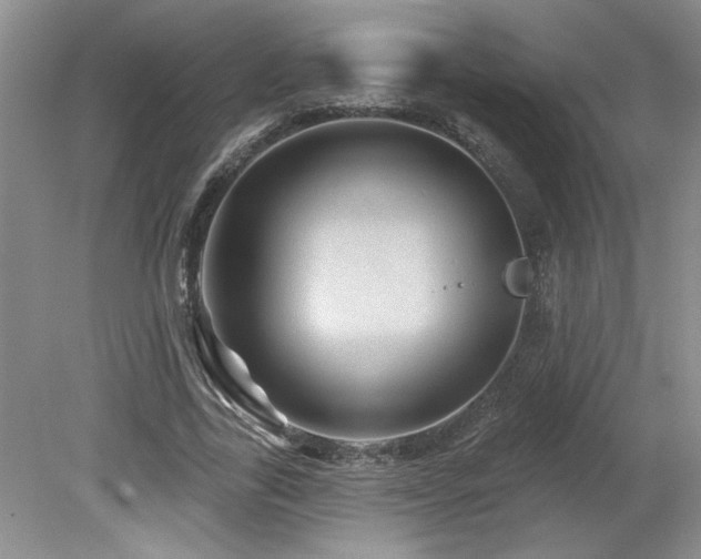 X0000080180731200612081400