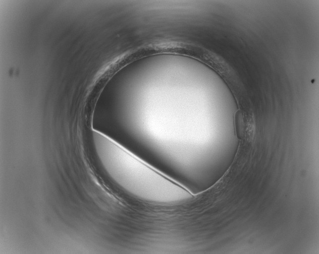 X0000080180732200612081400