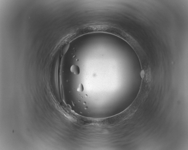 X0000080180733200612081400