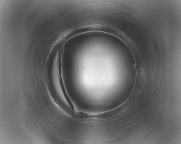 X0000080180734200612081400