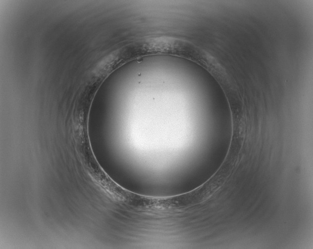 X0000080180737200612081400