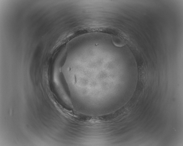 X0000080180742200612081400